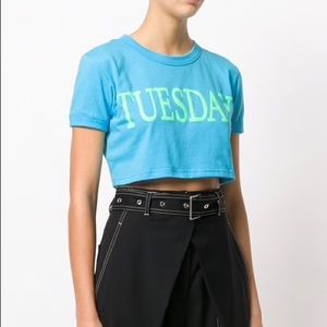 Alberta Ferretti Tuesday Crop Top